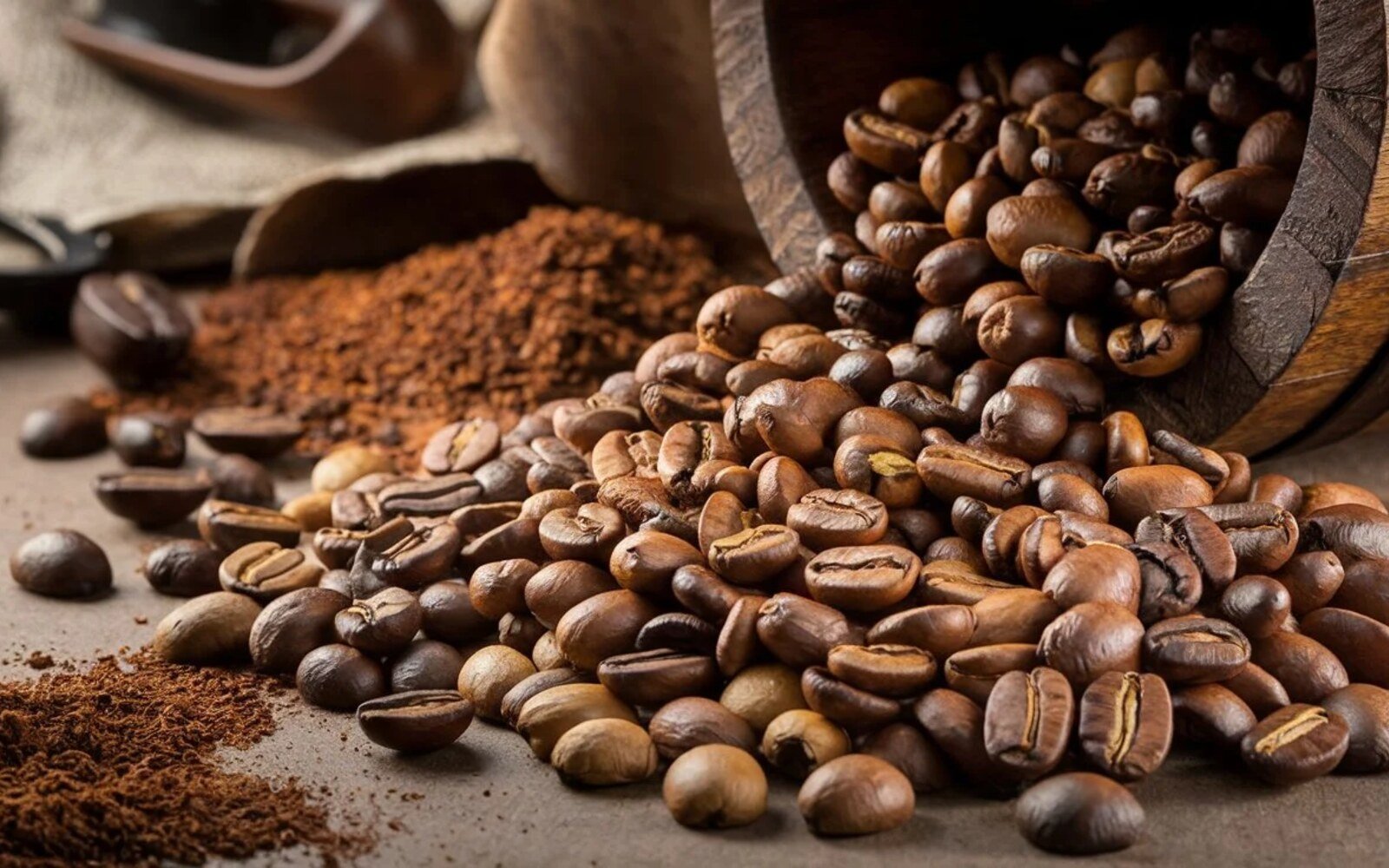 Axhead Coffee Roasters in Jacksonville, NC